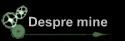Despre mine